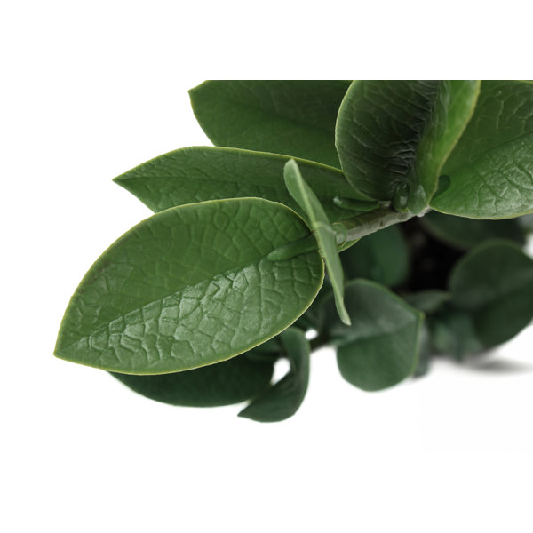 Primrue Mccormick 20'' Faux Zz Plant in Cement Pot Wayfair